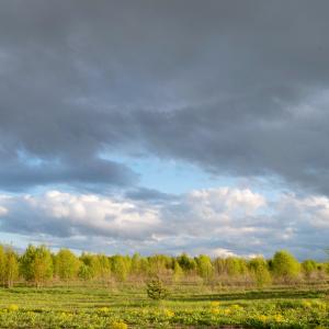 Фото 4