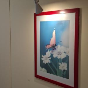 Фото 4