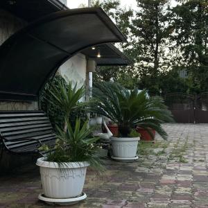 Фото 4