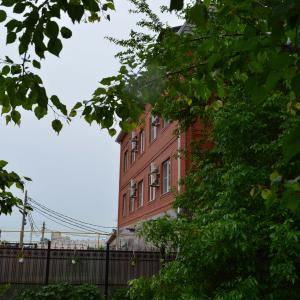 Фото 3