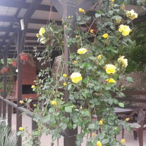 Фото 4