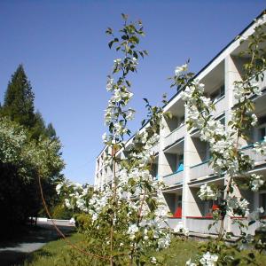 Фото 2