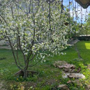 Фото 3