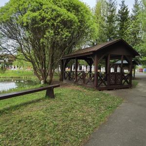 Фото 3