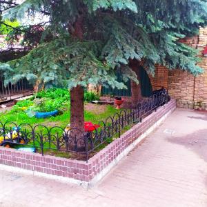 Фото 4