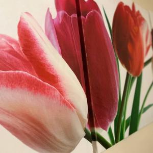 Фото 3