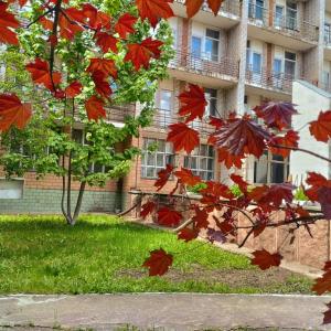 Фото 3