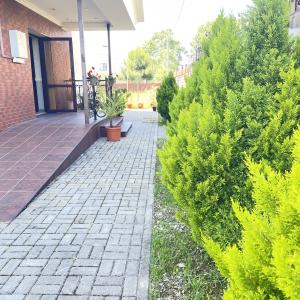 Фото 3