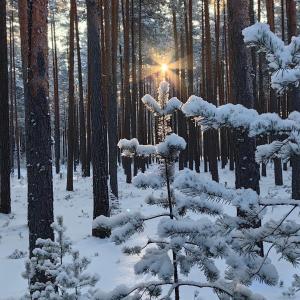 Фото 4