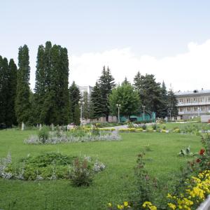 Фото 3