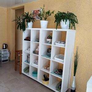 Фото 4