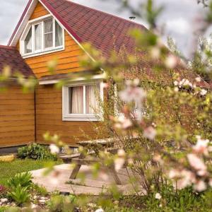 Фото 1