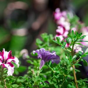 Фото 3