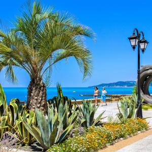 Фото 1