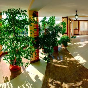 Фото 4