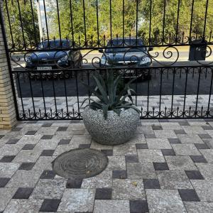 Фото 3