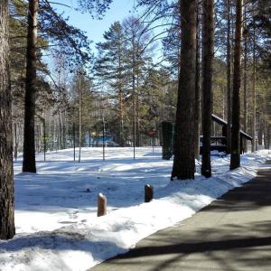 Photo 4