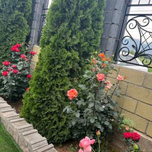 Фото 3