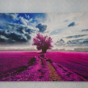 Фото 3