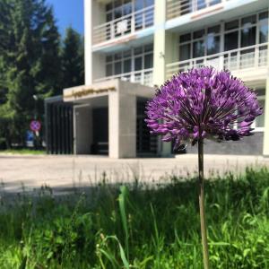 Фото 3