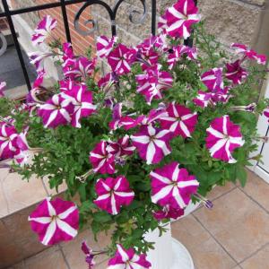 Фото 2