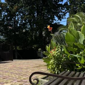 Фото 3