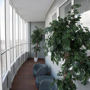 Фото 4