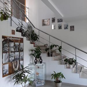 Фото 3