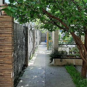 Фото 4