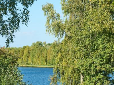 Фото отеля