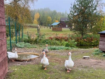 Фото отеля
