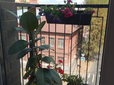 Фото номера отеля