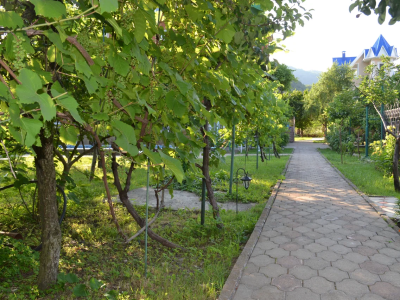 Фото отеля