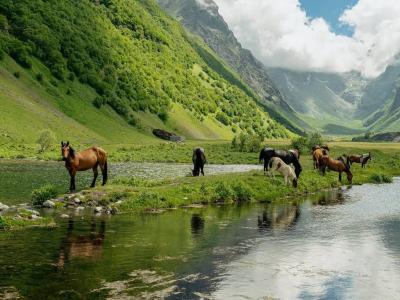 Фото отеля