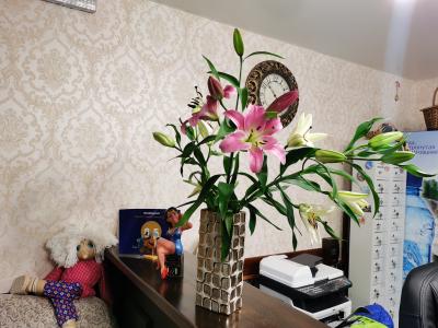 Фото отеля