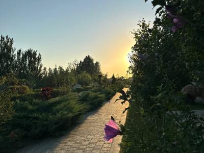 Фото отеля