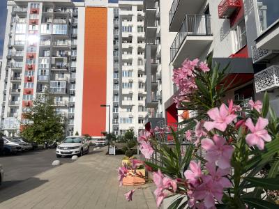 Фото отеля