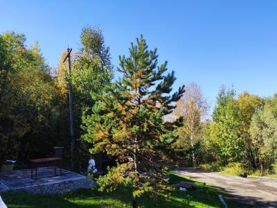 Фото отеля