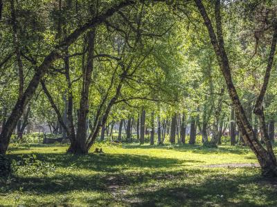 Фото номера отеля