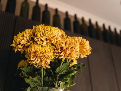 Фото отеля
