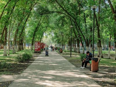 Фото номера отеля