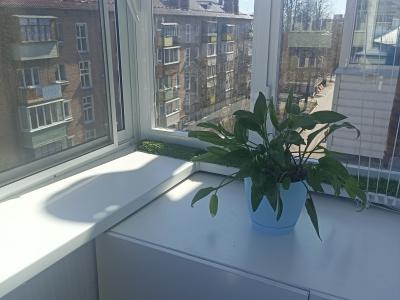 Фото номера отеля