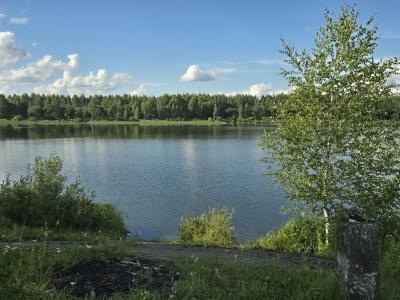 Фото отеля