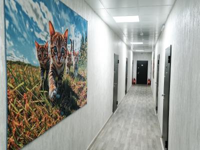 Фото отеля
