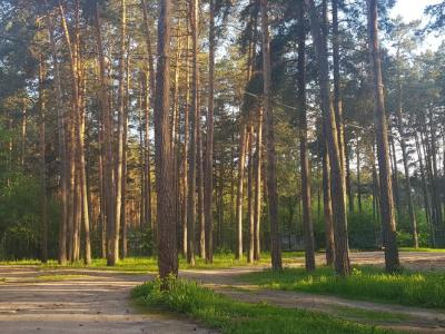 Фото отеля