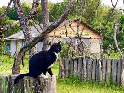 Фото отеля