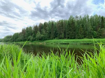 Фото отеля