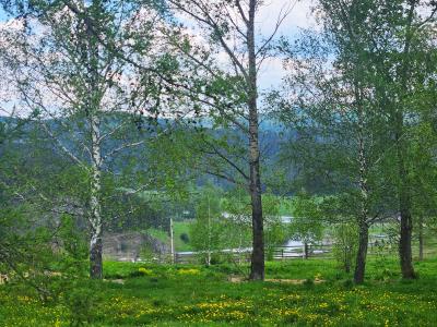 Фото отеля