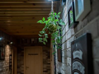 Фото отеля