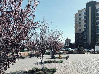 Фото отеля